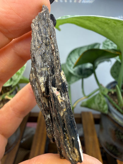 Biotite- North Carolina, USA