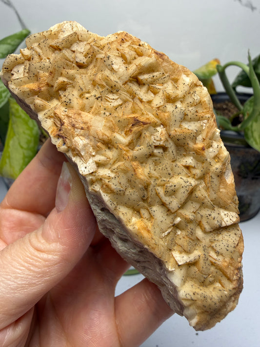 Ankerite- Bellmunt del Priorat, Tarragona, Catalonia, Spain