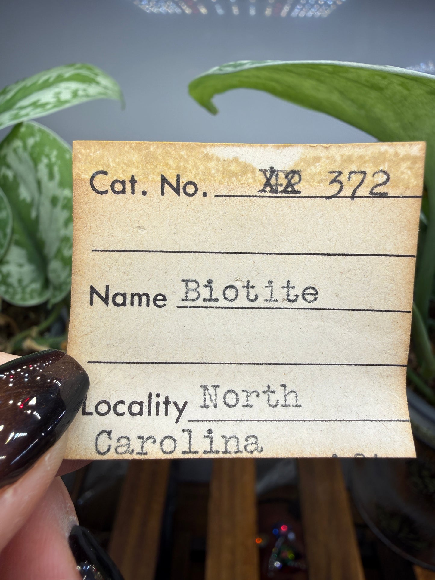 Biotite- North Carolina, USA