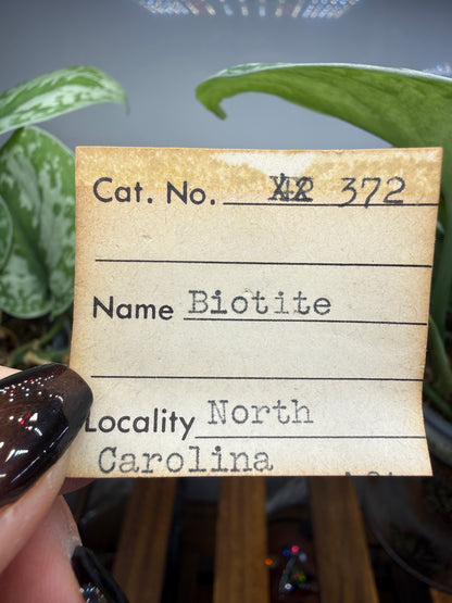 Biotite- North Carolina, USA