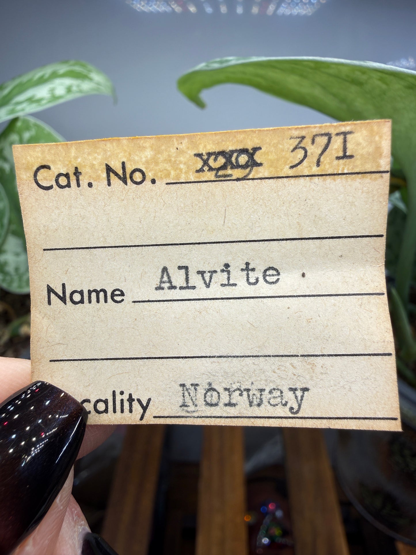 Alvite (Zircon)- Norway
