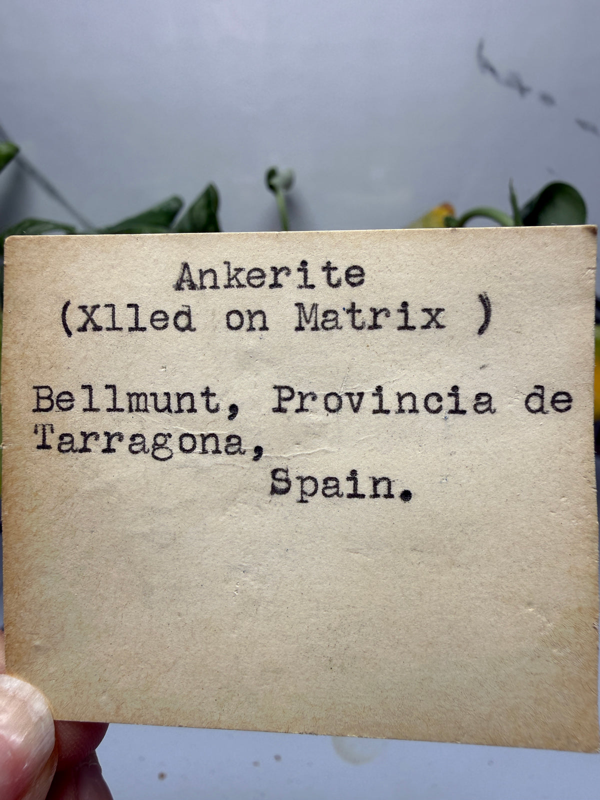 Ankerite- Bellmunt del Priorat, Tarragona, Catalonia, Spain