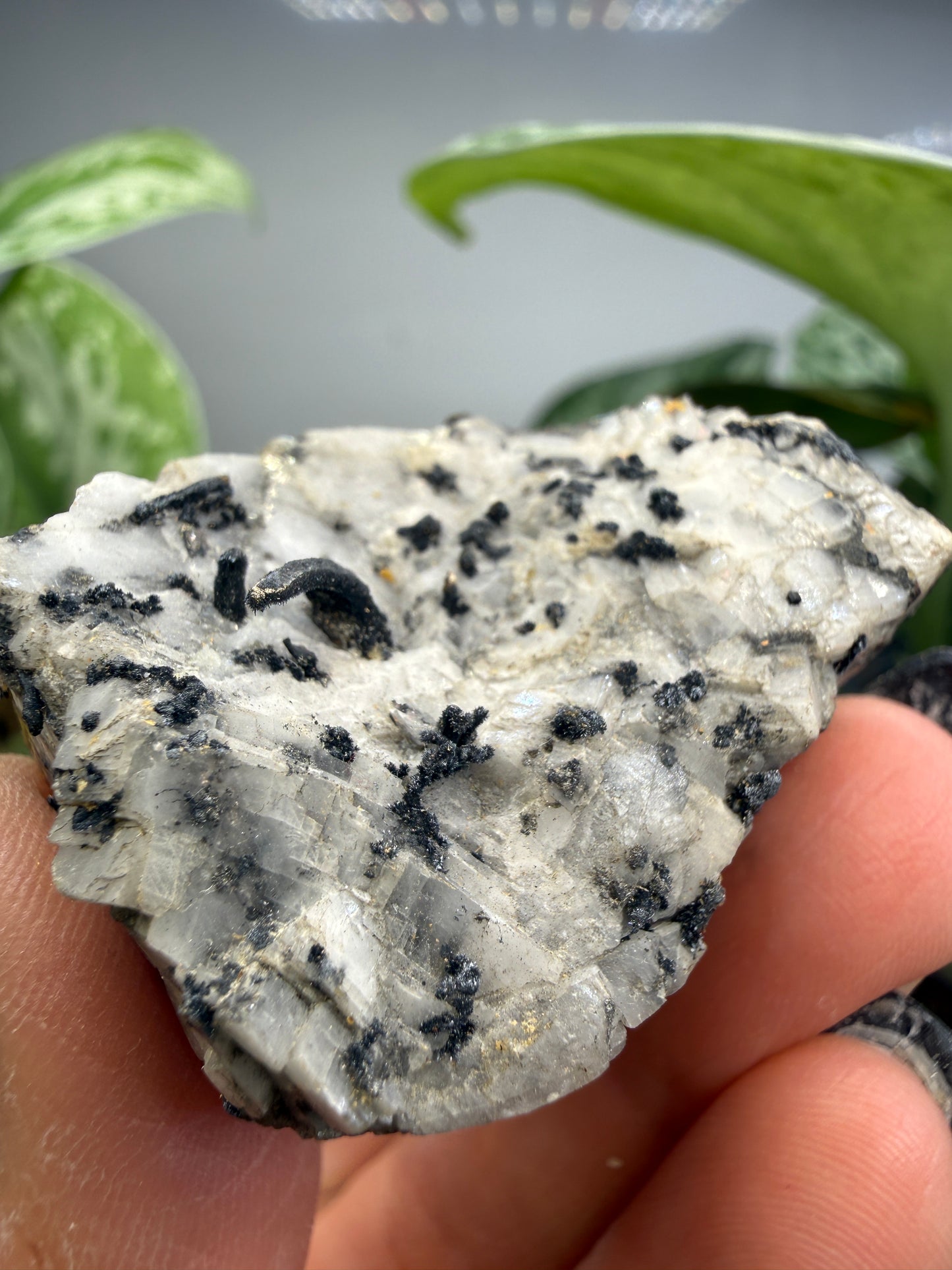 Silver Ore with unid black metallic mineral- Colorado, USA