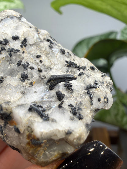 Silver Ore with unid black metallic mineral- Colorado, USA