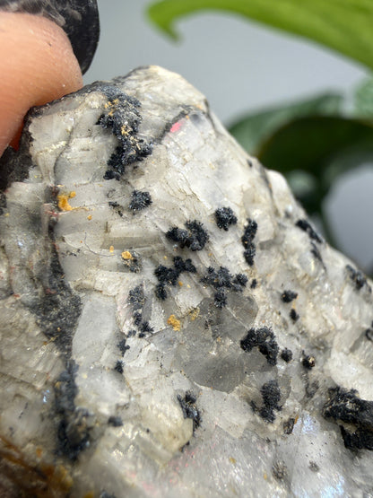 Silver Ore with unid black metallic mineral- Colorado, USA