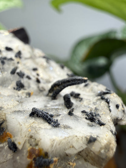 Silver Ore with unid black metallic mineral- Colorado, USA