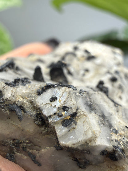 Silver Ore with unid black metallic mineral- Colorado, USA