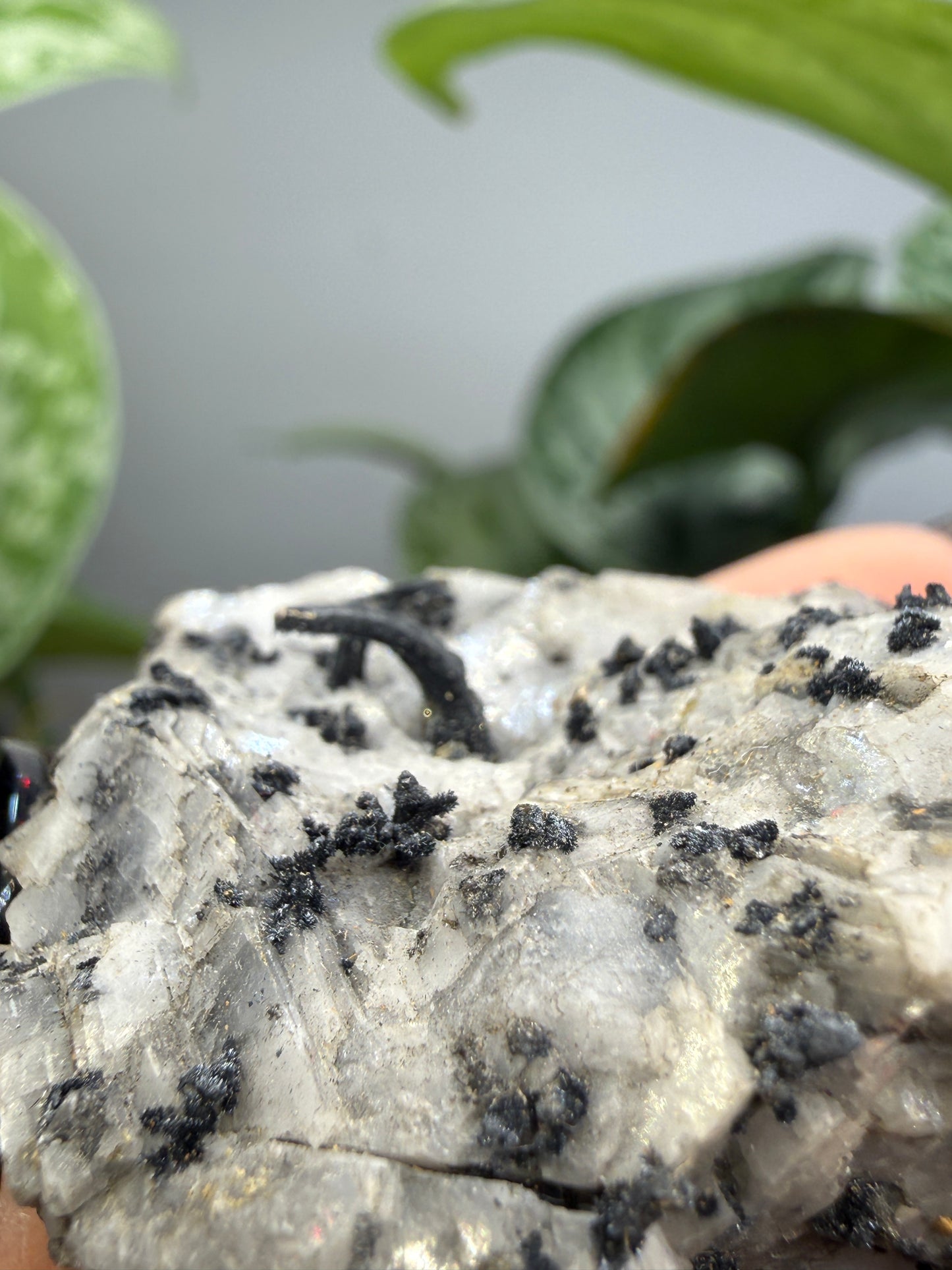 Silver Ore with unid black metallic mineral- Colorado, USA
