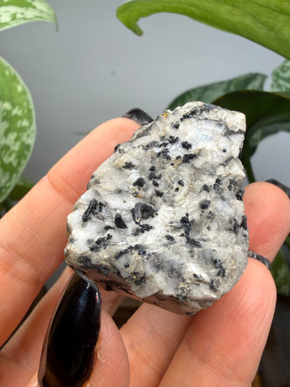 Silver Ore with unid black metallic mineral- Colorado, USA