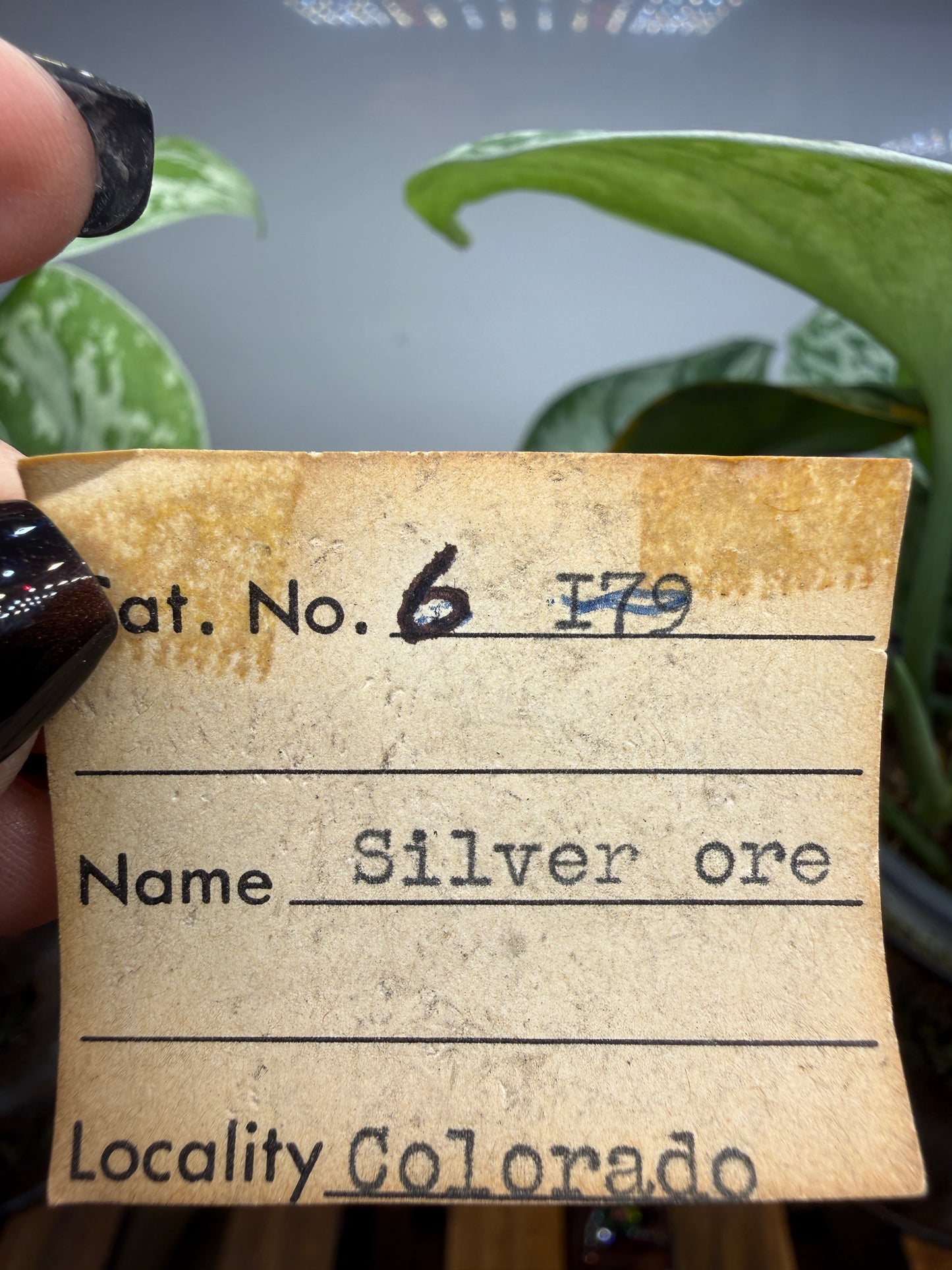 Silver Ore with unid black metallic mineral- Colorado, USA