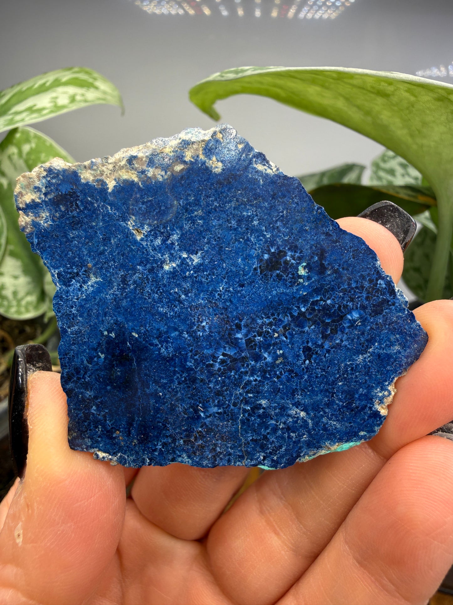 Lapis Lazuli- Unidentified Locality