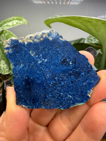 Lapis Lazuli- Unidentified Locality