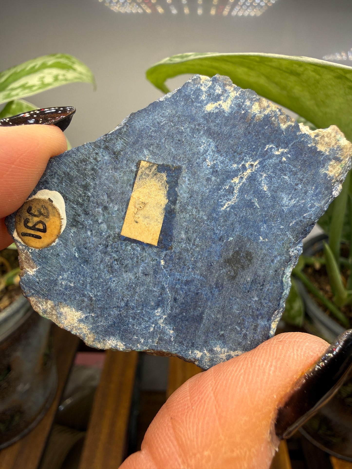 Lapis Lazuli- Unidentified Locality