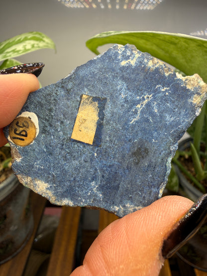 Lapis Lazuli- Unidentified Locality