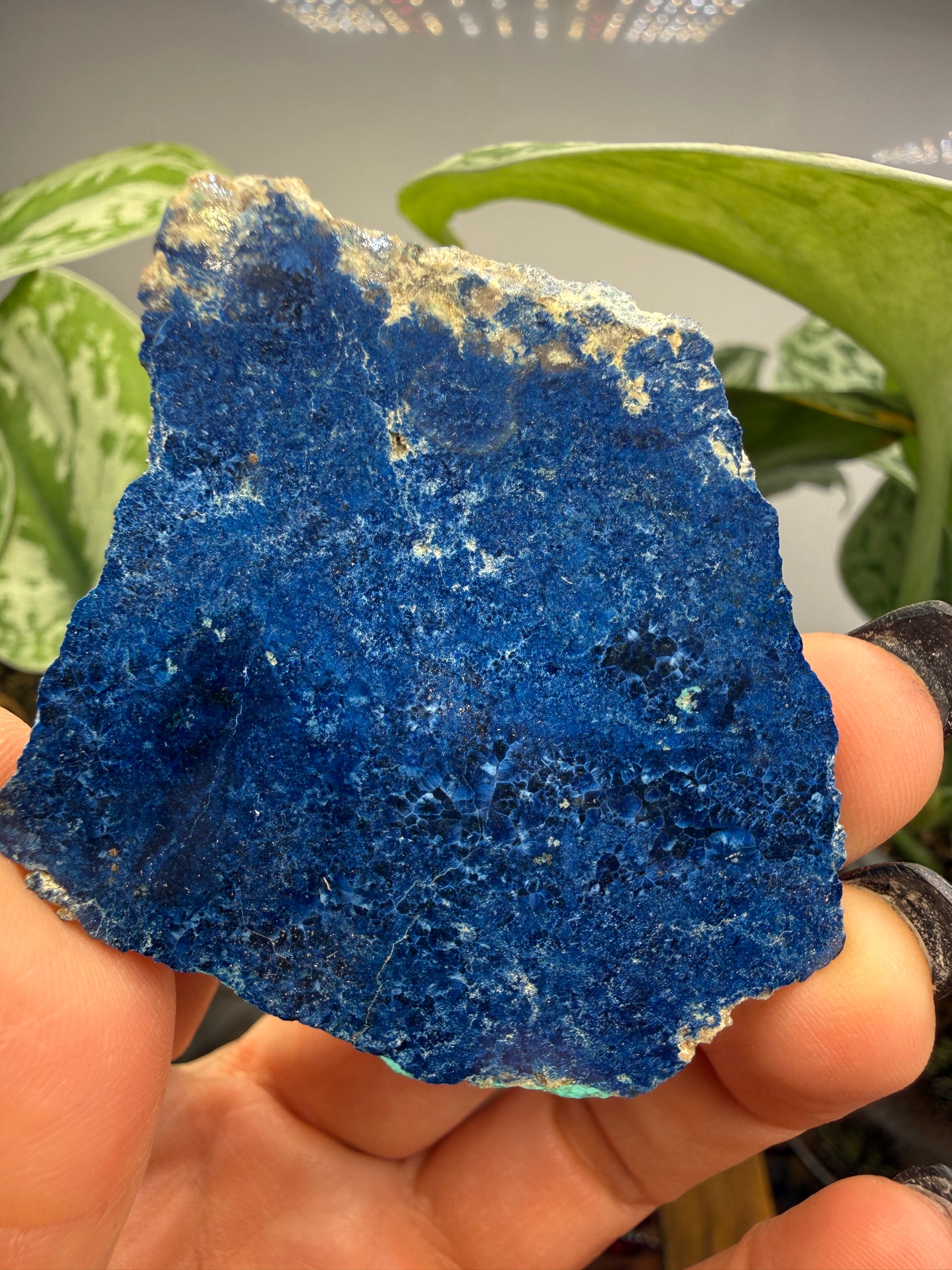 Lapis Lazuli- Unidentified Locality