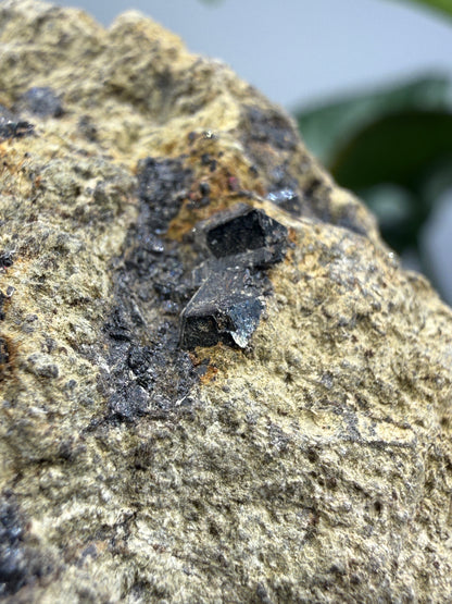 Melanite (Black Andradite Garnet)- California, USA