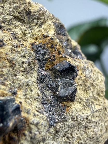 Melanite (Black Andradite Garnet)- California, USA