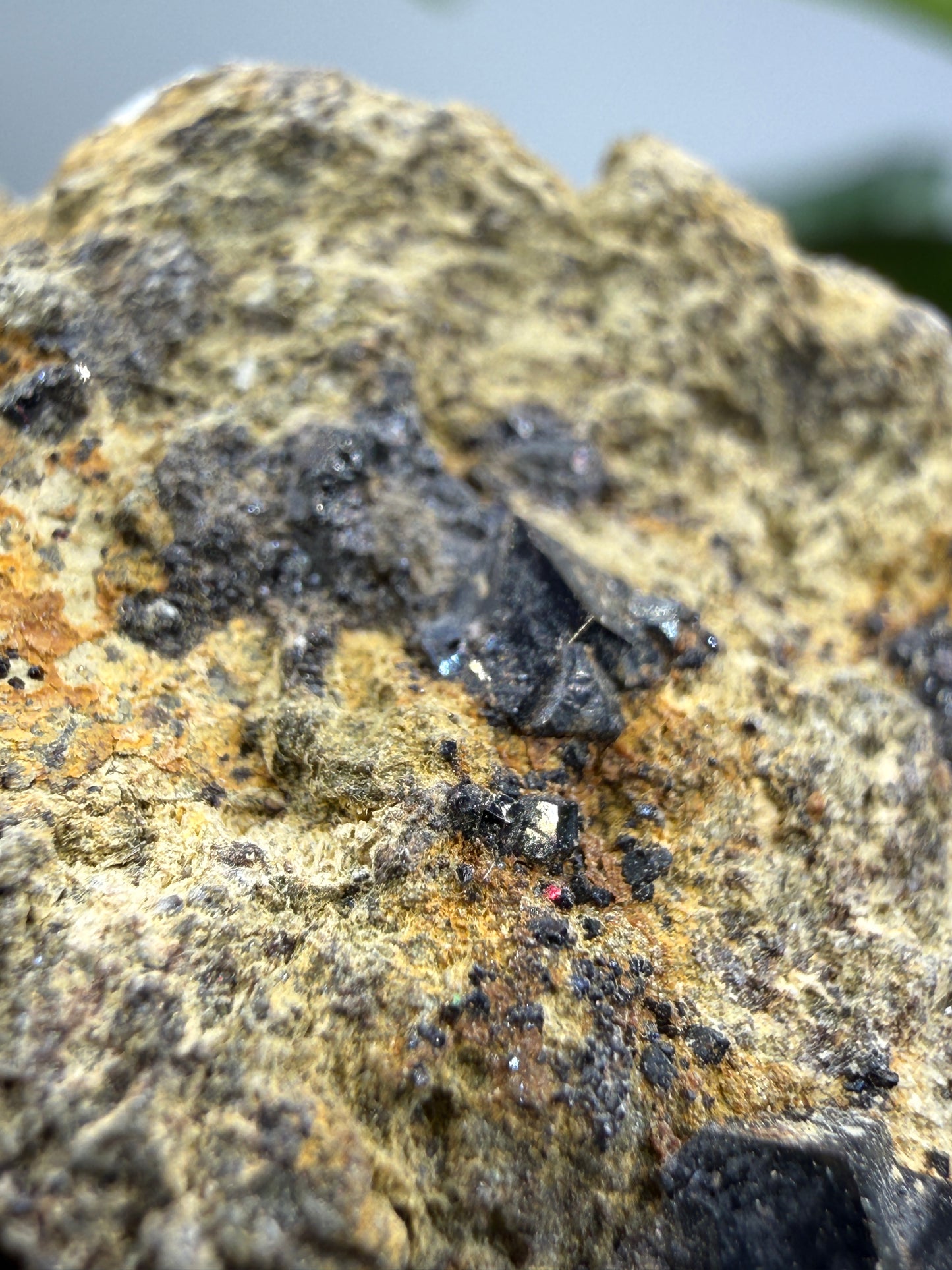 Melanite (Black Andradite Garnet)- California, USA