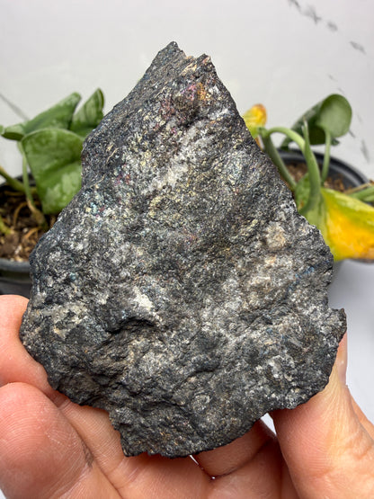 Bornite (Peacock Ore)- Silverton, San Juan County, Colorado, USA