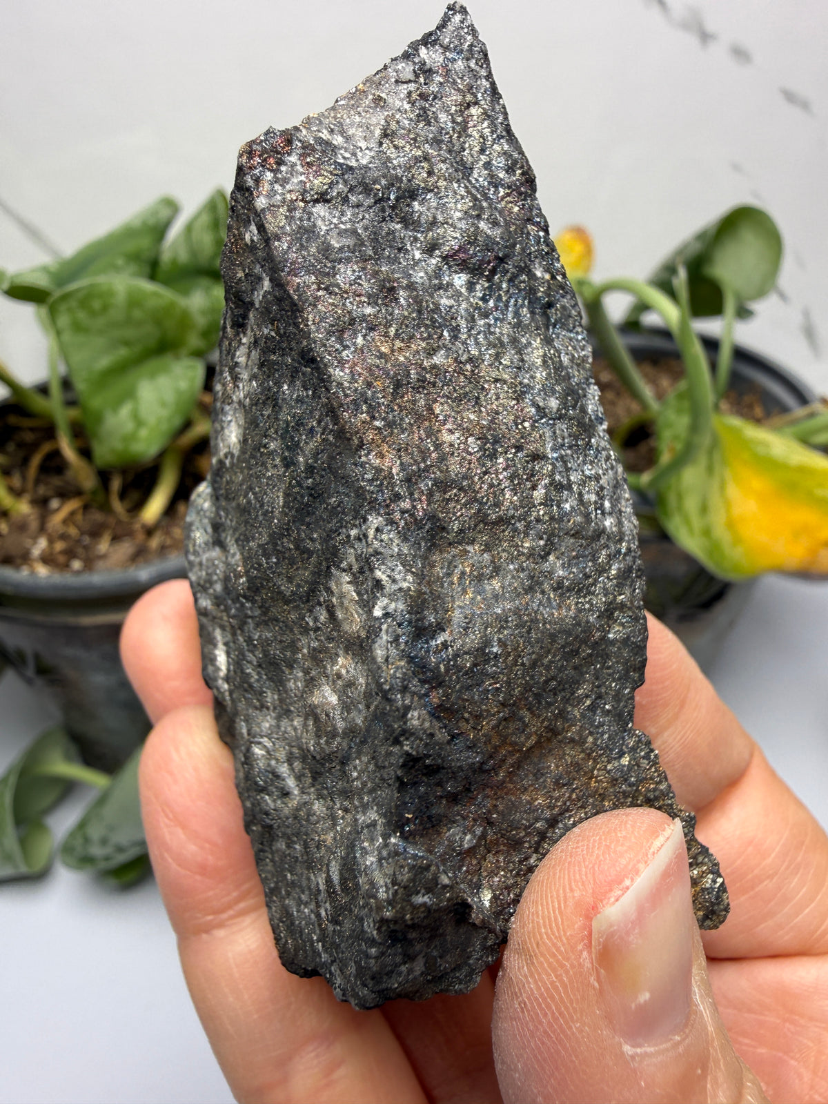 Bornite (Peacock Ore)- Silverton, San Juan County, Colorado, USA