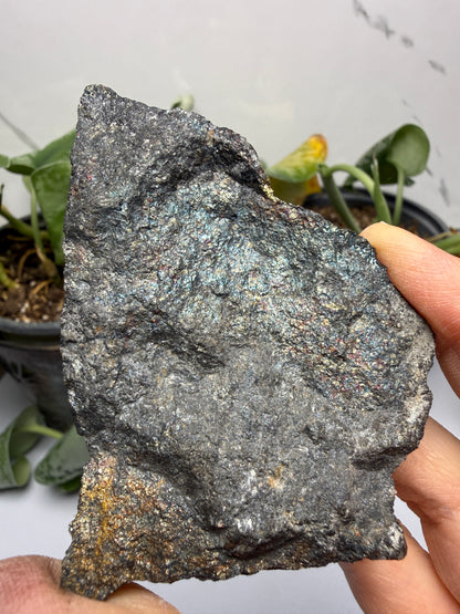 Bornite (Peacock Ore)- Silverton, San Juan County, Colorado, USA