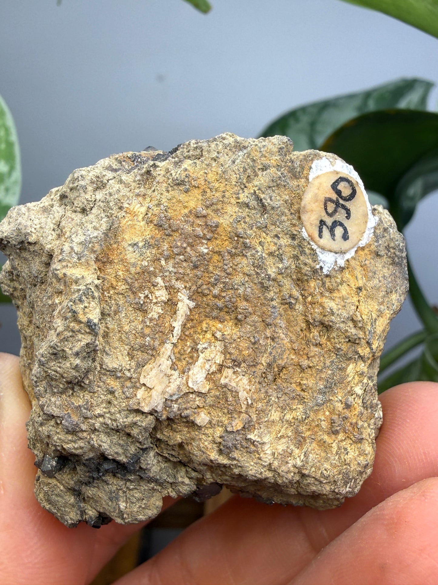 Melanite (Black Andradite Garnet)- California, USA