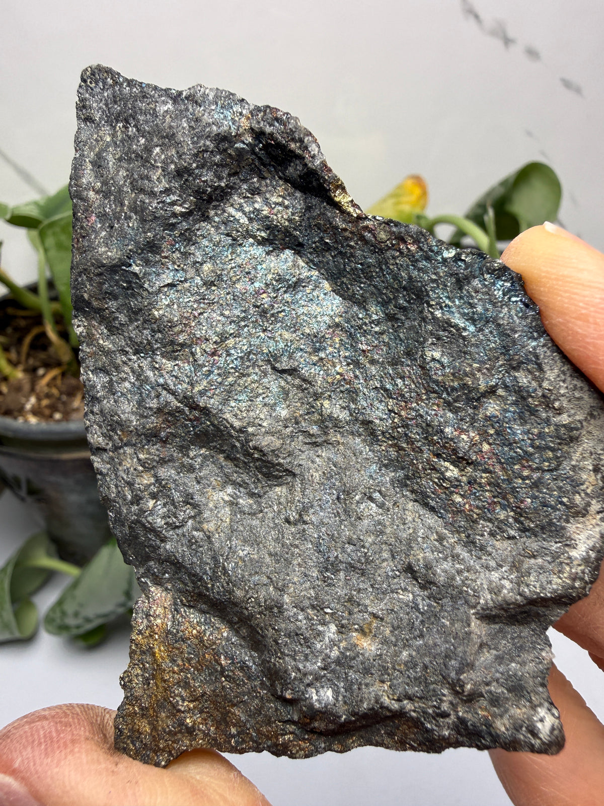 Bornite (Peacock Ore)- Silverton, San Juan County, Colorado, USA