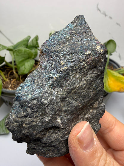 Bornite (Peacock Ore)- Silverton, San Juan County, Colorado, USA