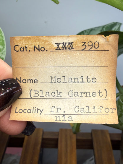 Melanite (Black Andradite Garnet)- California, USA
