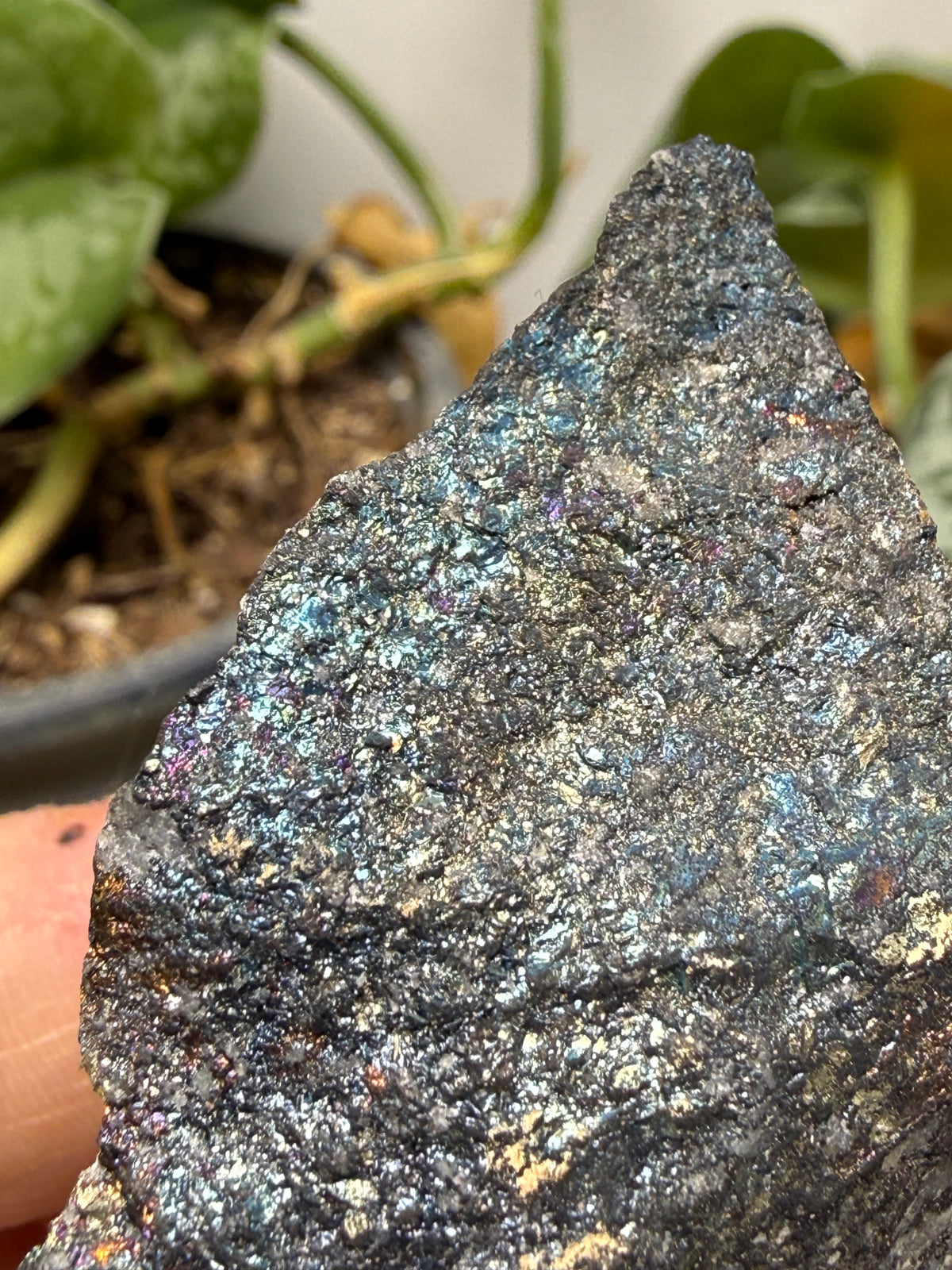 Bornite (Peacock Ore)- Silverton, San Juan County, Colorado, USA