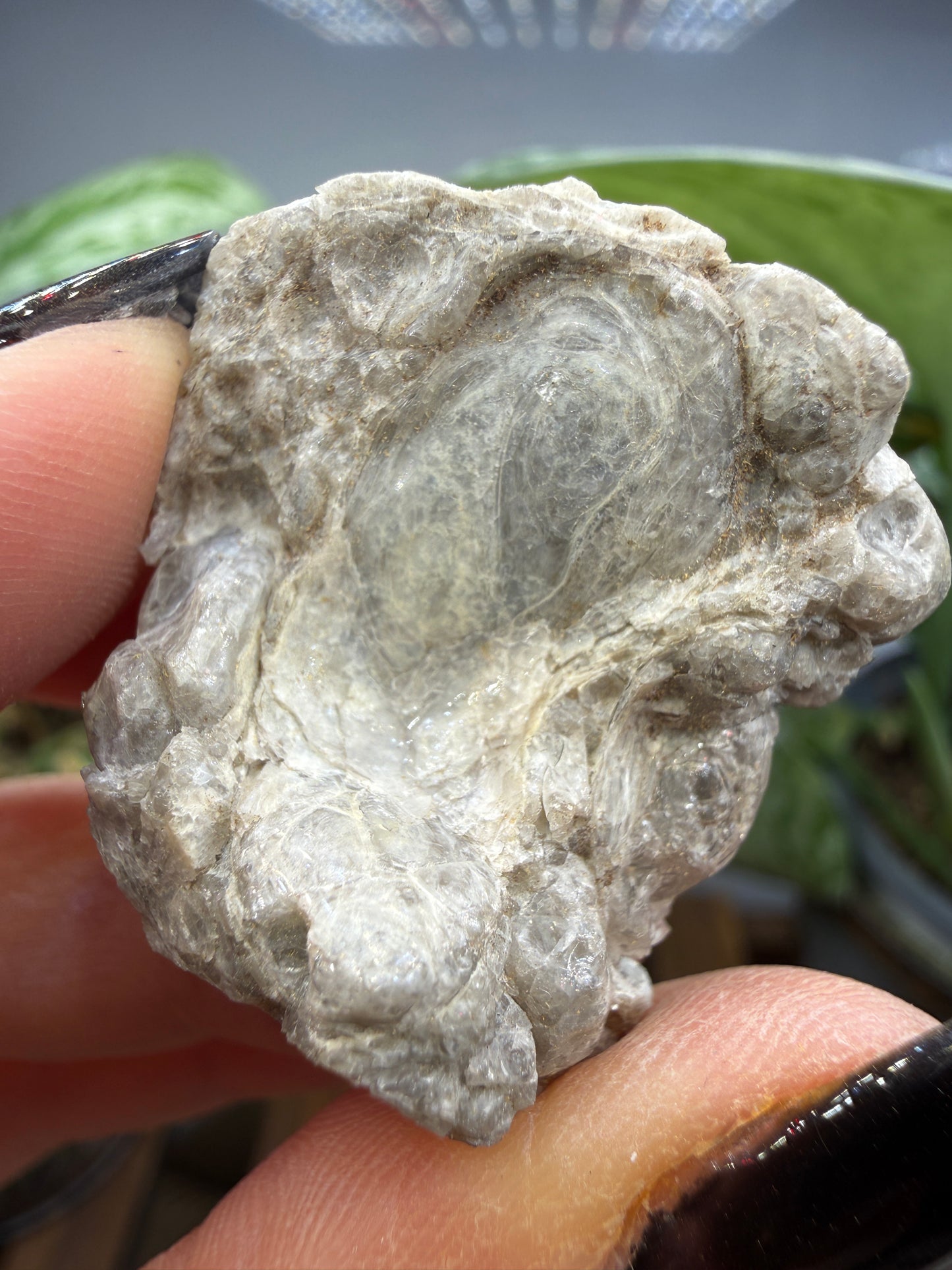 Obsidian var. Perlite- Arizona, USA