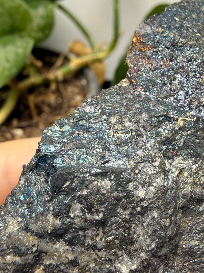 Bornite (Peacock Ore)- Silverton, San Juan County, Colorado, USA