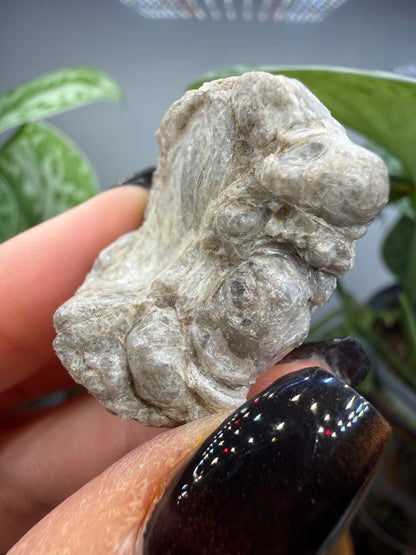 Obsidian var. Perlite- Arizona, USA