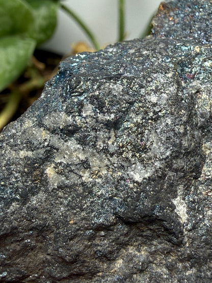 Bornite (Peacock Ore)- Silverton, San Juan County, Colorado, USA