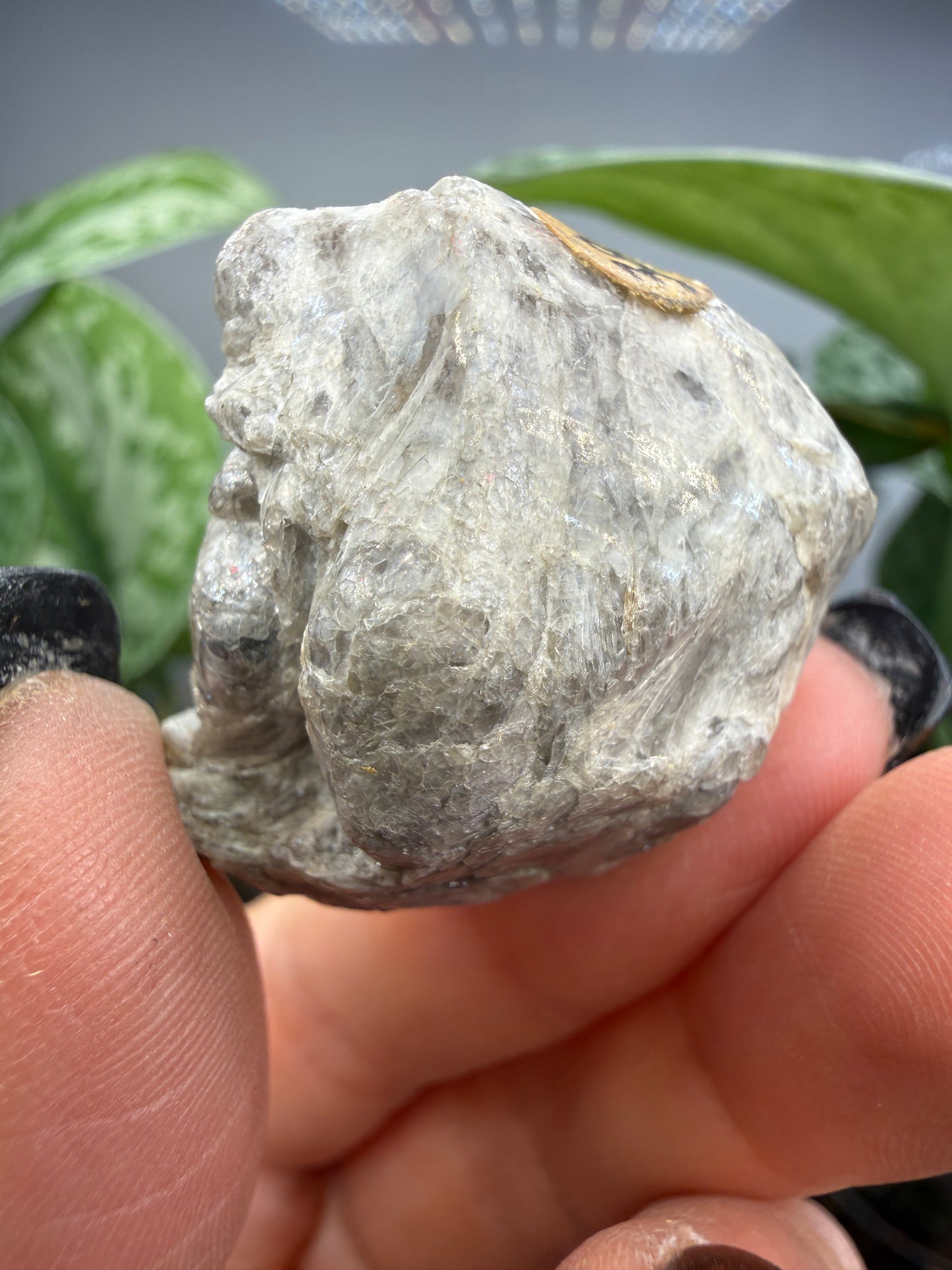 Obsidian var. Perlite- Arizona, USA