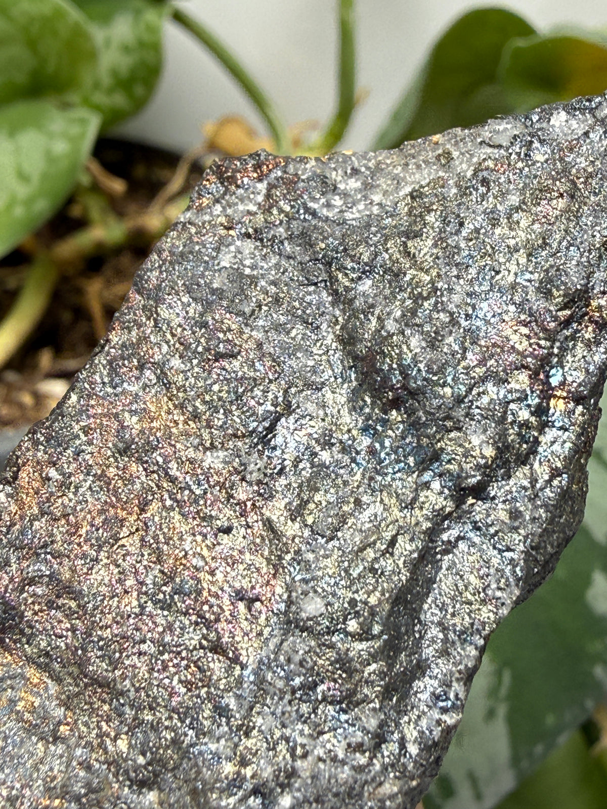 Bornite (Peacock Ore)- Silverton, San Juan County, Colorado, USA