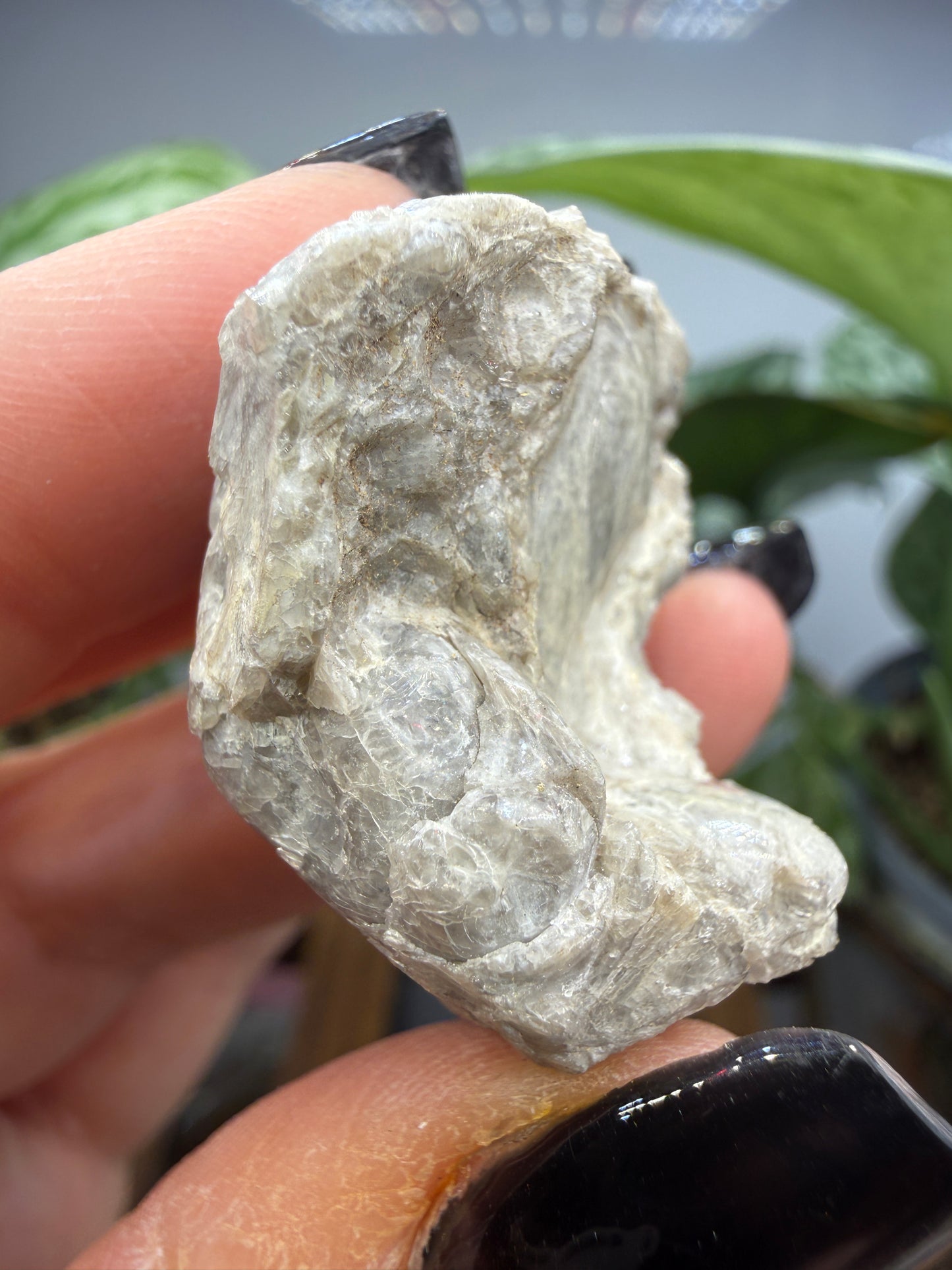 Obsidian var. Perlite- Arizona, USA