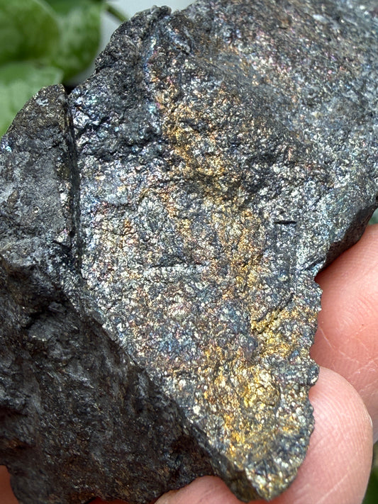 Bornite (Peacock Ore)- Silverton, San Juan County, Colorado, USA