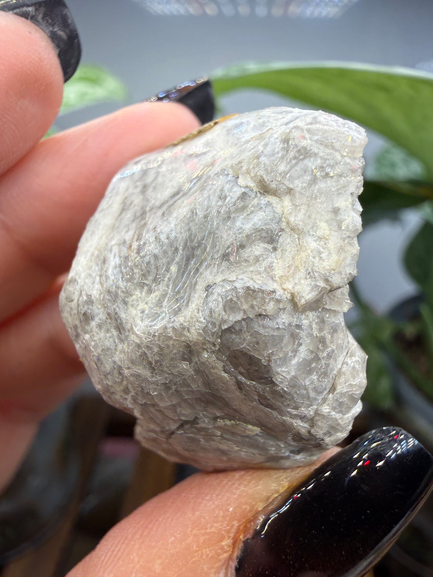 Obsidian var. Perlite- Arizona, USA