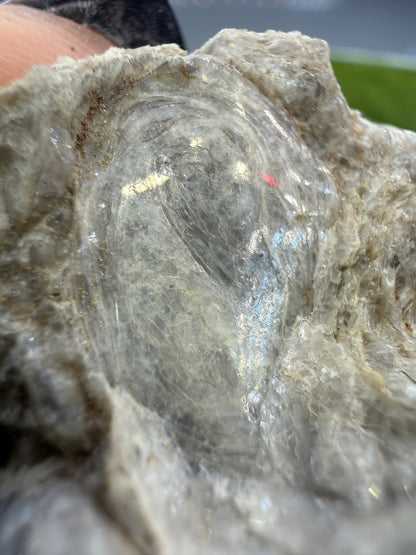 Obsidian var. Perlite- Arizona, USA