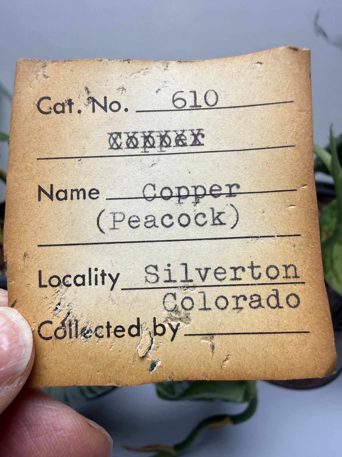Bornite (Peacock Ore)- Silverton, San Juan County, Colorado, USA