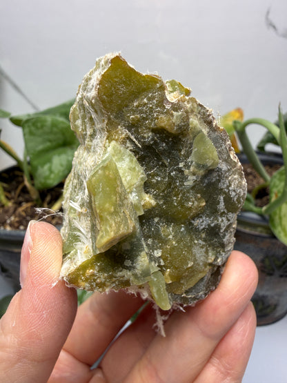Serpentine var. Chrysotile- Regal Mine, near Globe, Gila County, Arizona, USA
