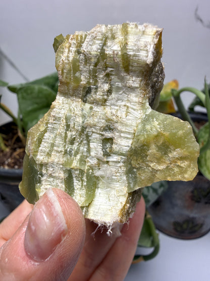 Serpentine var. Chrysotile- Regal Mine, near Globe, Gila County, Arizona, USA