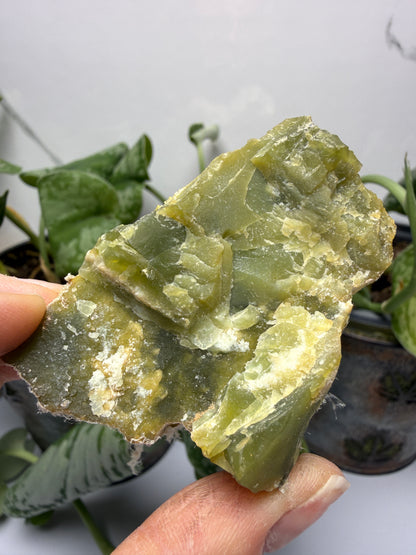Serpentine var. Chrysotile- Regal Mine, near Globe, Gila County, Arizona, USA
