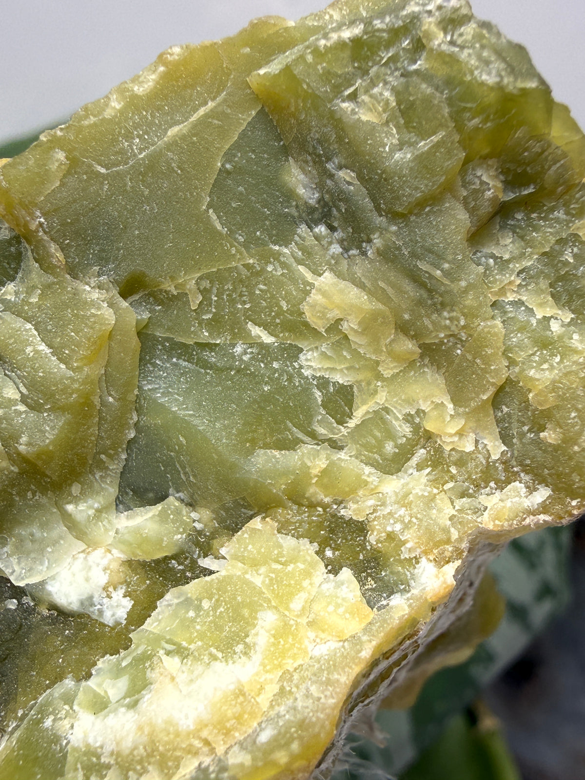 Serpentine var. Chrysotile- Regal Mine, near Globe, Gila County, Arizona, USA
