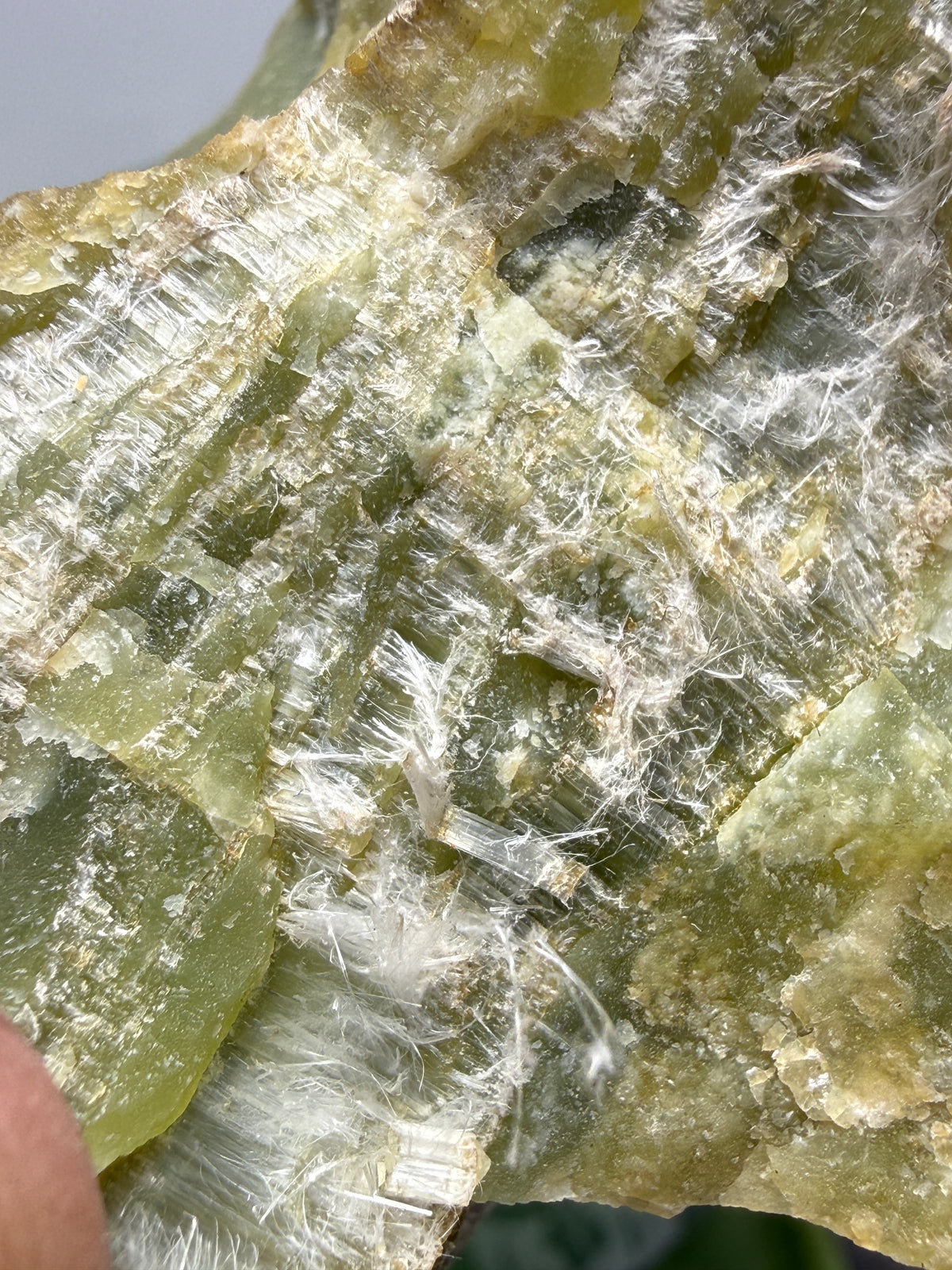 Serpentine var. Chrysotile- Regal Mine, near Globe, Gila County, Arizona, USA