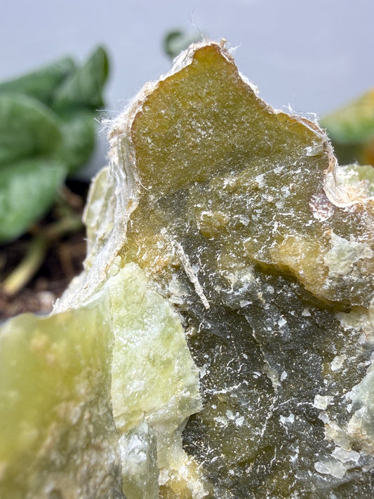 Serpentine var. Chrysotile- Regal Mine, near Globe, Gila County, Arizona, USA