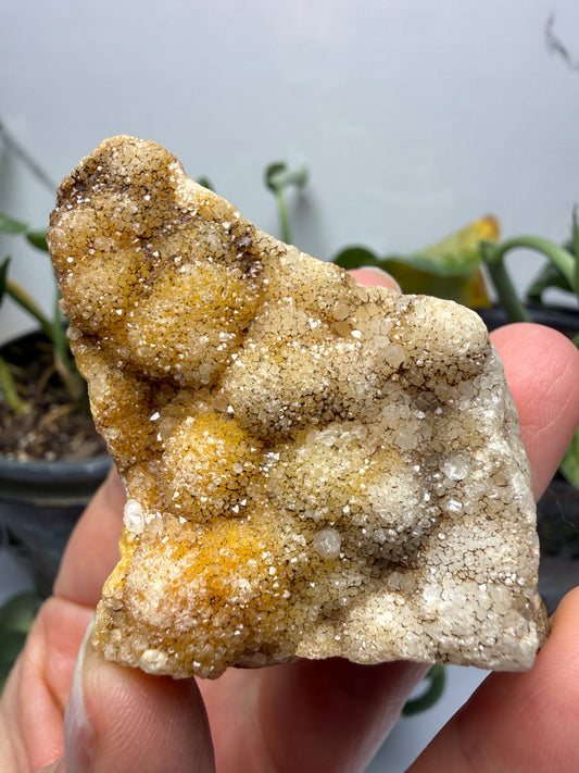 Quartz- Silverton, San Juan County, Colorado, USA
