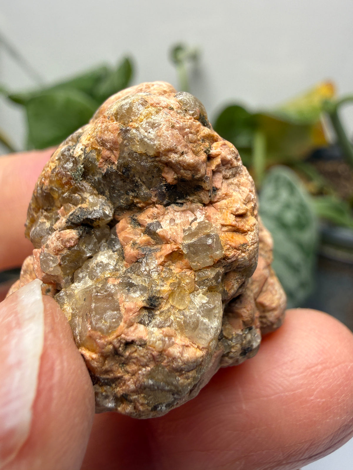 Graphic Granite (Quartz and Feldspar)- Pikes Peak area, El Paso County, Colorado, USA
