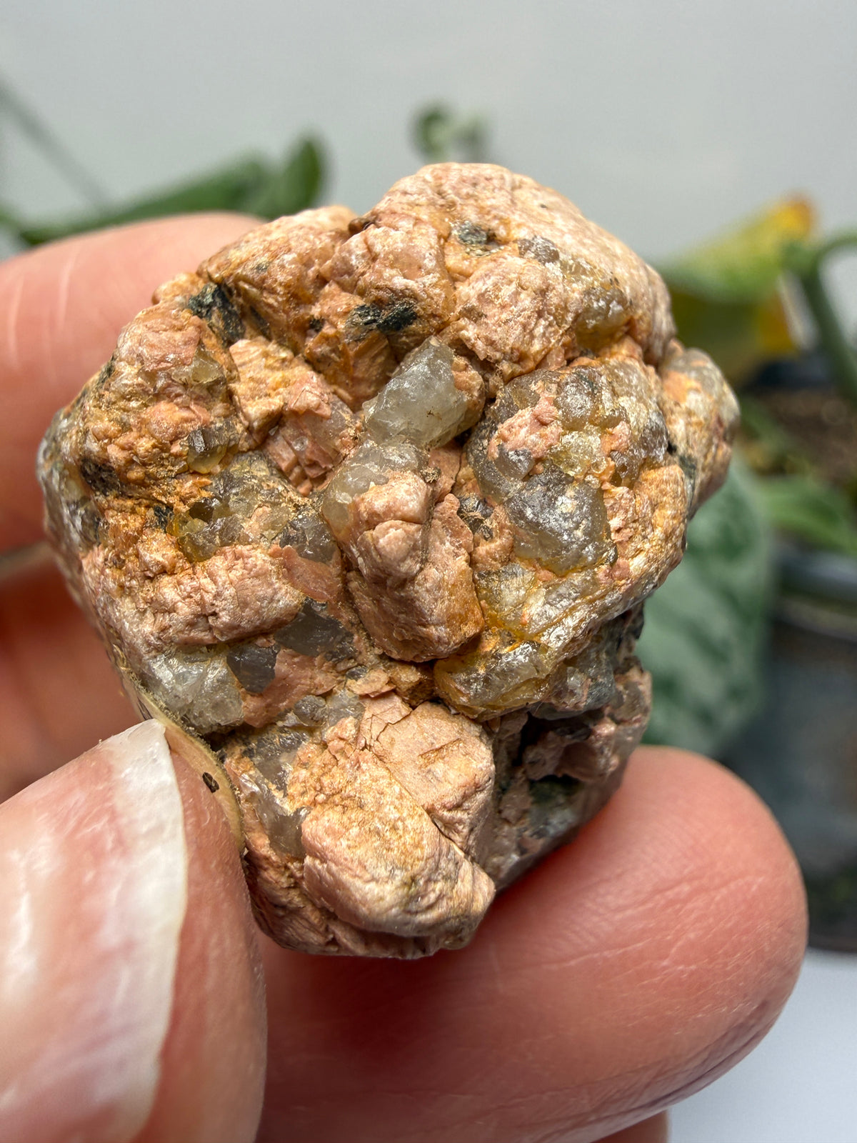 Graphic Granite (Quartz and Feldspar)- Pikes Peak area, El Paso County, Colorado, USA